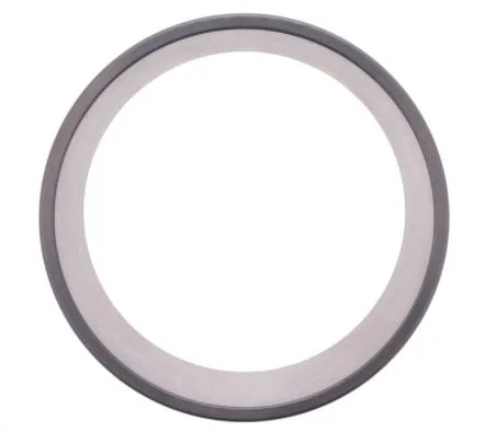 10055880 – DANA SPICER Bearing Race, OE Replacement - view 2
